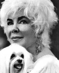 liz taylor e il suo maltese