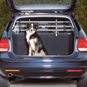 Cintura Di Sicurezza Per Cani, Set Da 3 Pezzi, Cintura Di Sicurezza Per Cani Set Da 3 Pezzi Cintura Di Sicurezza Retrattile Per Auto Cintura Di Sicurezza Regolabile Per Animali Domestici Ciotola Per Cani 92321849