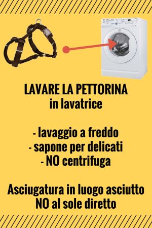 Lavaggio pettorina infografica