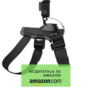 pettorina gopro per cani su amazon